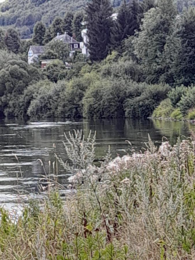 Why Not Strandblick Apartman Polle Kültér fotó