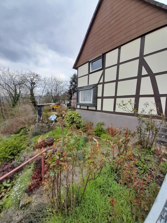 Why Not Strandblick Apartman Polle Kültér fotó